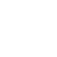 Logo Jana Parizkova
